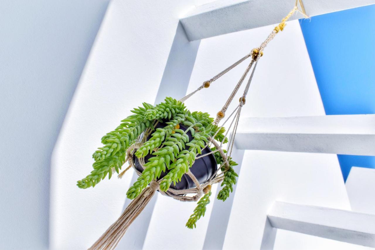 Mana Ecoretreat Las Breñas Dış mekan fotoğraf